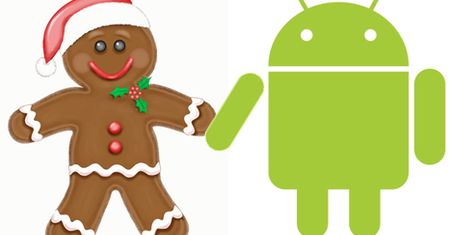 Luka w Gingerbreadzie umożliwiająca zdalny dostęp do karty pamięci