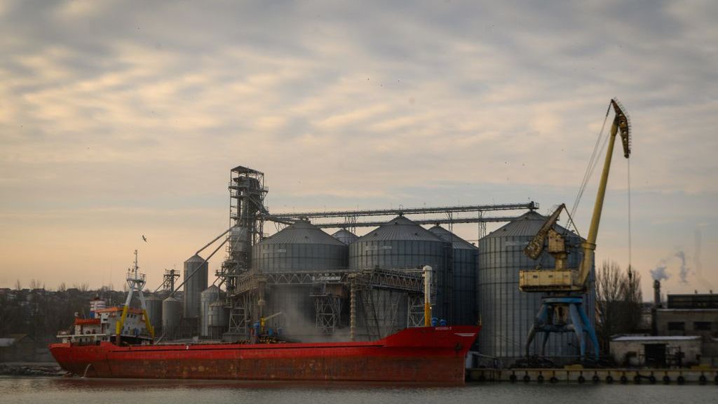 Terminal zbożowy w Porcie Mariupol