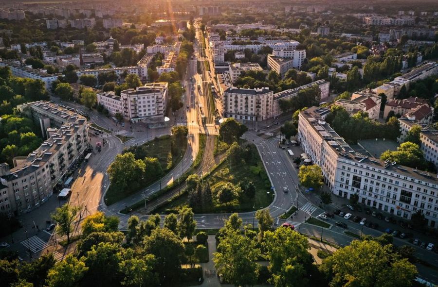 Warszawski Żoliborz wstrzymał koszenie traw