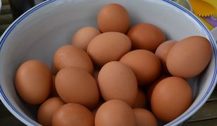 Jak kupować jajka? Na to zwróć uwagę w sklepie