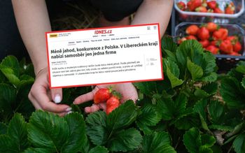 Problemy Czechów. Wskazują na Polaków. "Duża konkurencja"