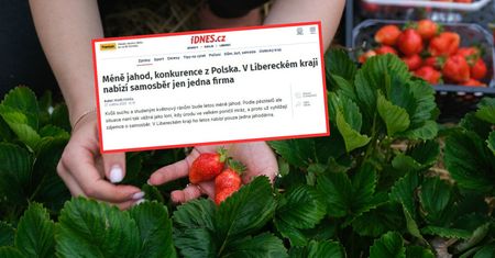 Problemy Czechów. Wskazują na Polaków. "Duża konkurencja"