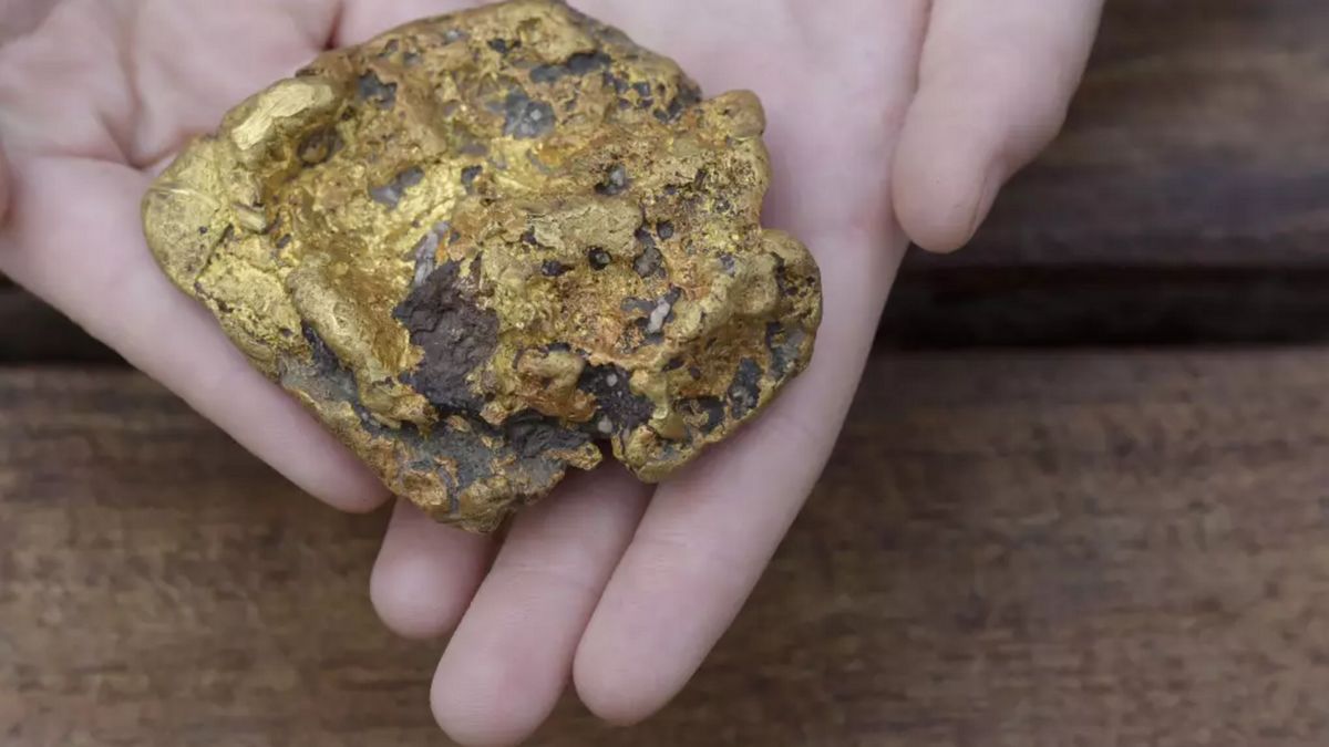 Wyszli na spacer z psem. Znaleźli prawdziwe złoto