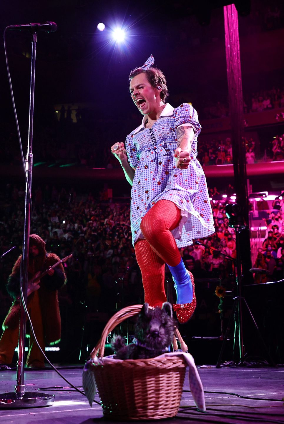 Harry Styles