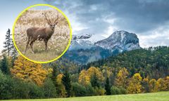 Turyści blokują numer alarmowy TOPR. Kuriozalny powód