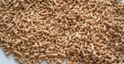 Ceny opału. Oto ile kosztuje pellet