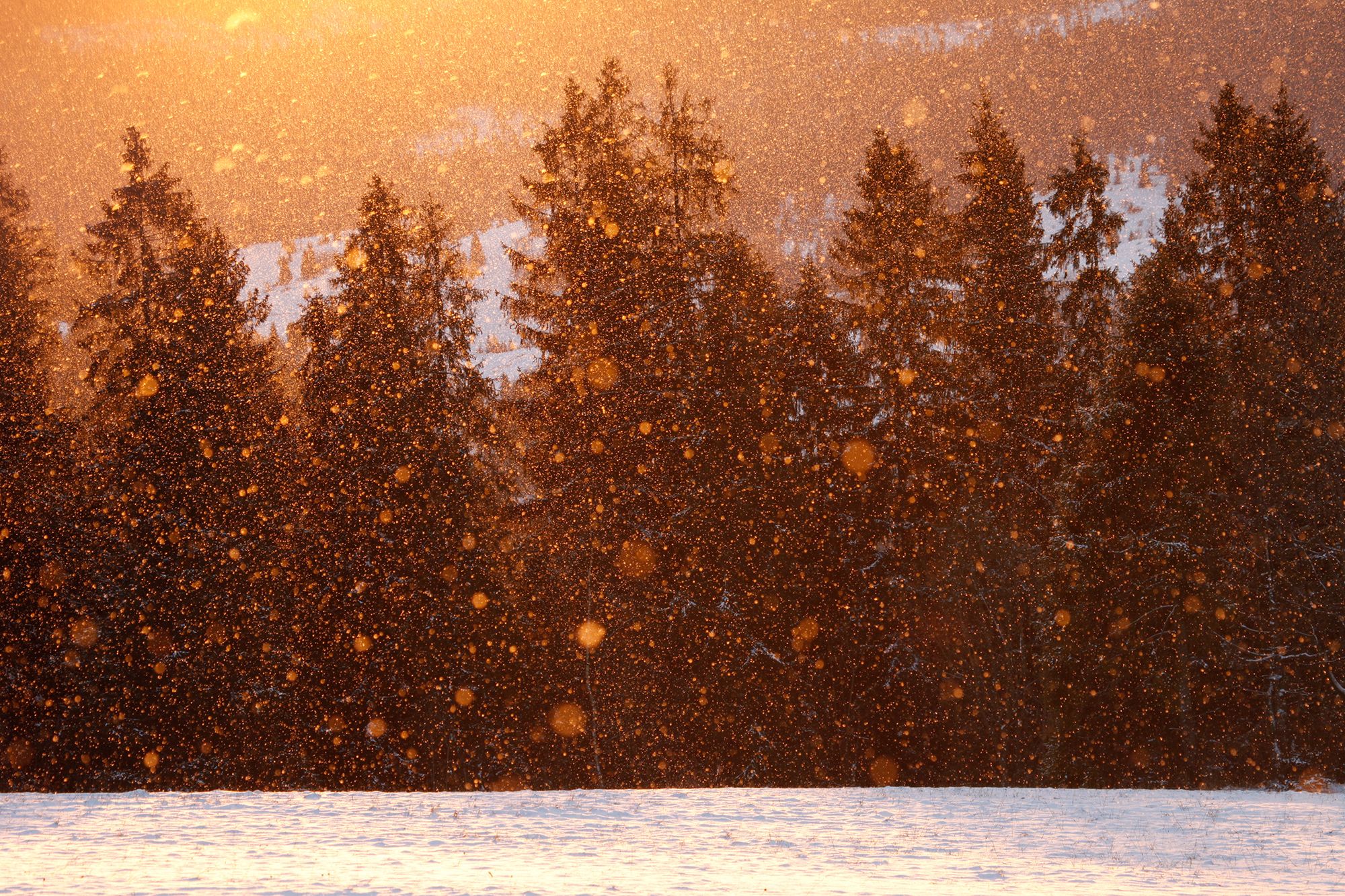 Lustrzanka w podróży. O czym trzeba pamiętać? 7