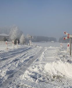 Zginęła kobieta, maszynista skazany za przejechanie człowieka. "Skandaliczne"
