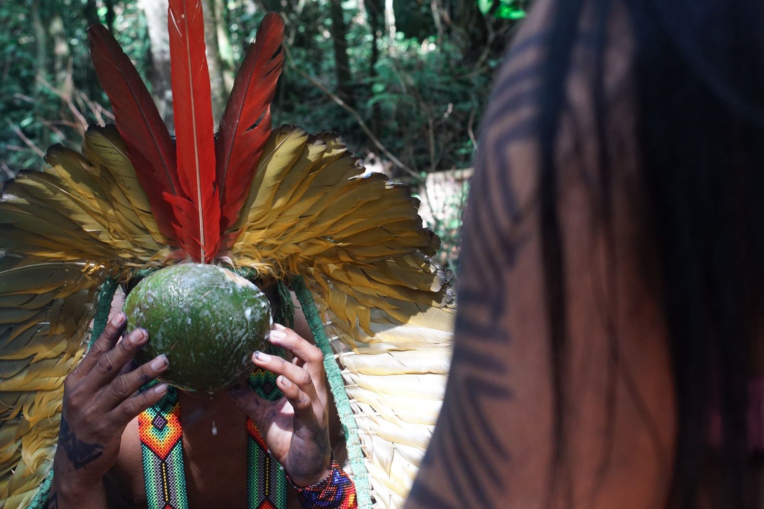 Vitor skupia się na badaniu i dokumentowaniu nadużyć państwowo-korporacyjnych wobec społeczności tubylczych