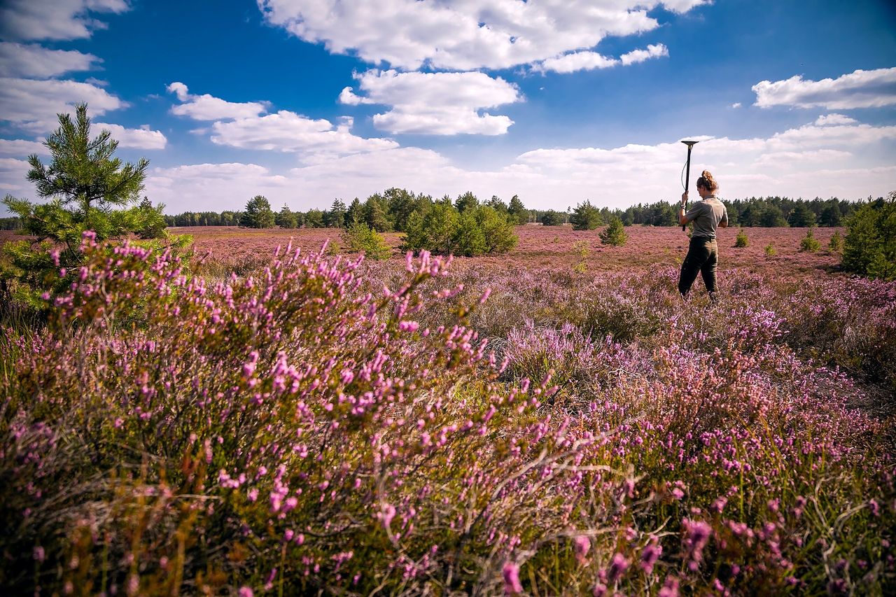 Ochrona obszarów sieci Natura 2000 w Nadleśnictwie Przemków, fot. Smarczewski 