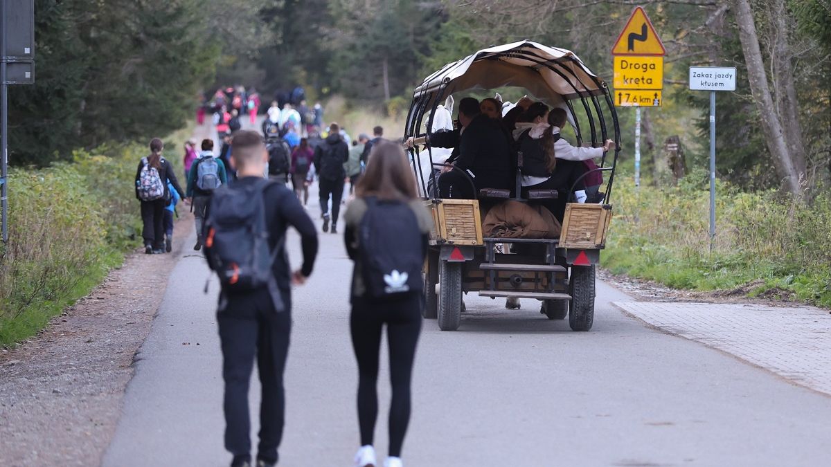 Jeden z fiakrów został wykluczony.