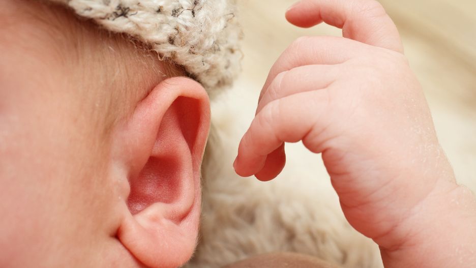 uszy uszka uszy dziecka Detail of newborn baby ear
Sorkin
baby, newborn, infant, ear, hand, adorable, child, small, little, cap, hat, lovely, vulnerable, love, childhood, detail, soft, healthy, motherhood, care, health care, beautiful, life, new, family, miracle, happy, satisfied, smile, caucasian, cute, happinesss, pure, hear, sound, doctor, examination, vaccination, future, comfort, sense, innocent, kid, cheerful, peace, deafness, virus, otitis, otitis media, inflammation, middle ear