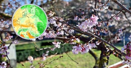 Pogoda dla Polski. Rosyjski wyż zdominuje temperaturę