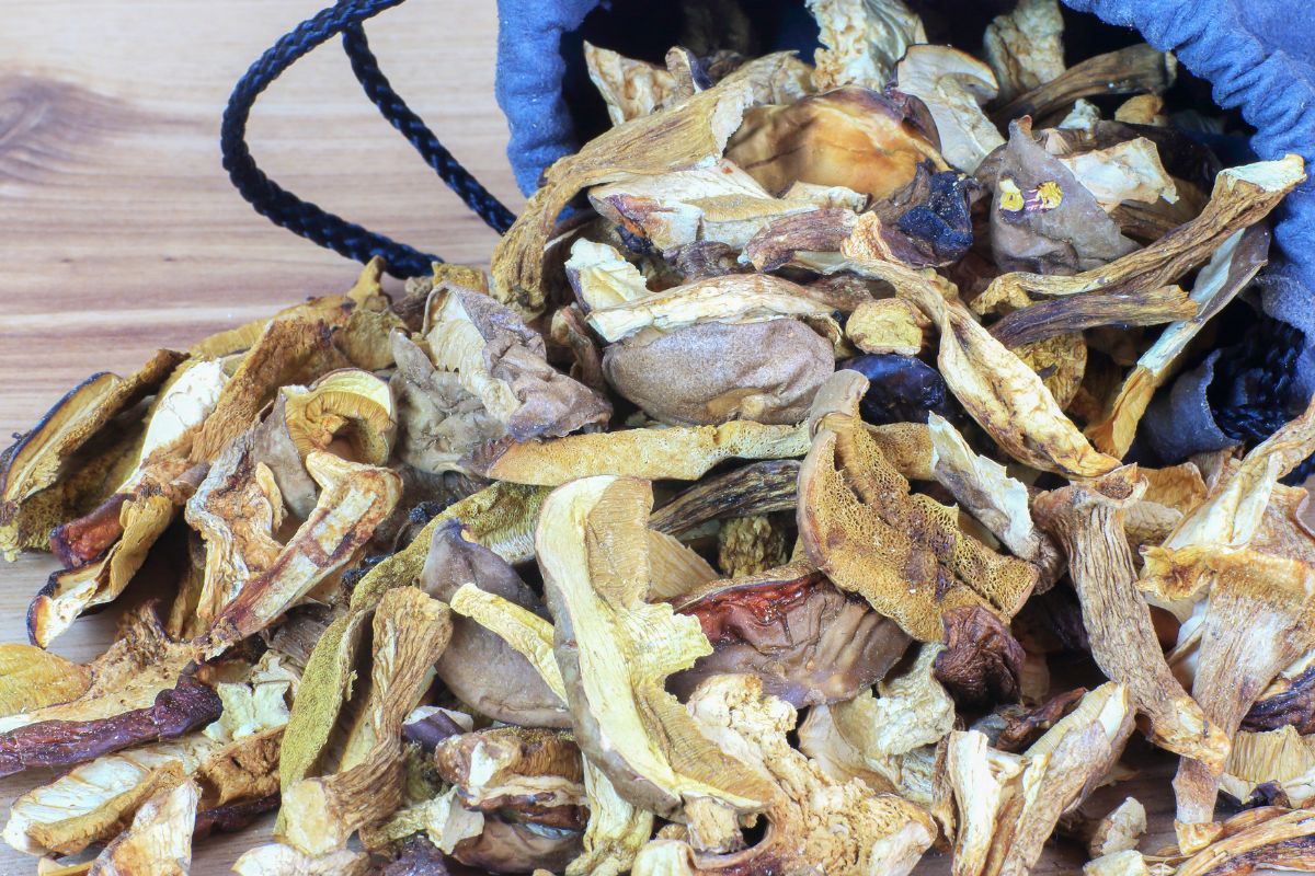 Tak szybko usuniesz piasek z suszonych grzybów. Przyda się ta przyprawa