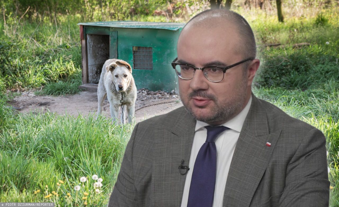 Spór o "ustawę łańcuchową".  Poseł PiS tłumaczy swój sprzeciw