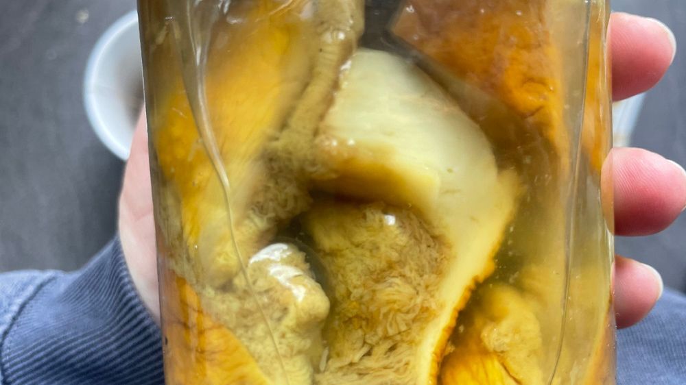 Czy marynowane grzyby są zdrowe?