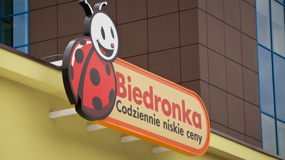 Biedronka oferuje tanią elektronikę. Ta latarka przyda się każdemu 1