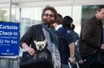 ''The LEGO Batman Movie'': Zach Galifianakis będzie klockowym Jokerem