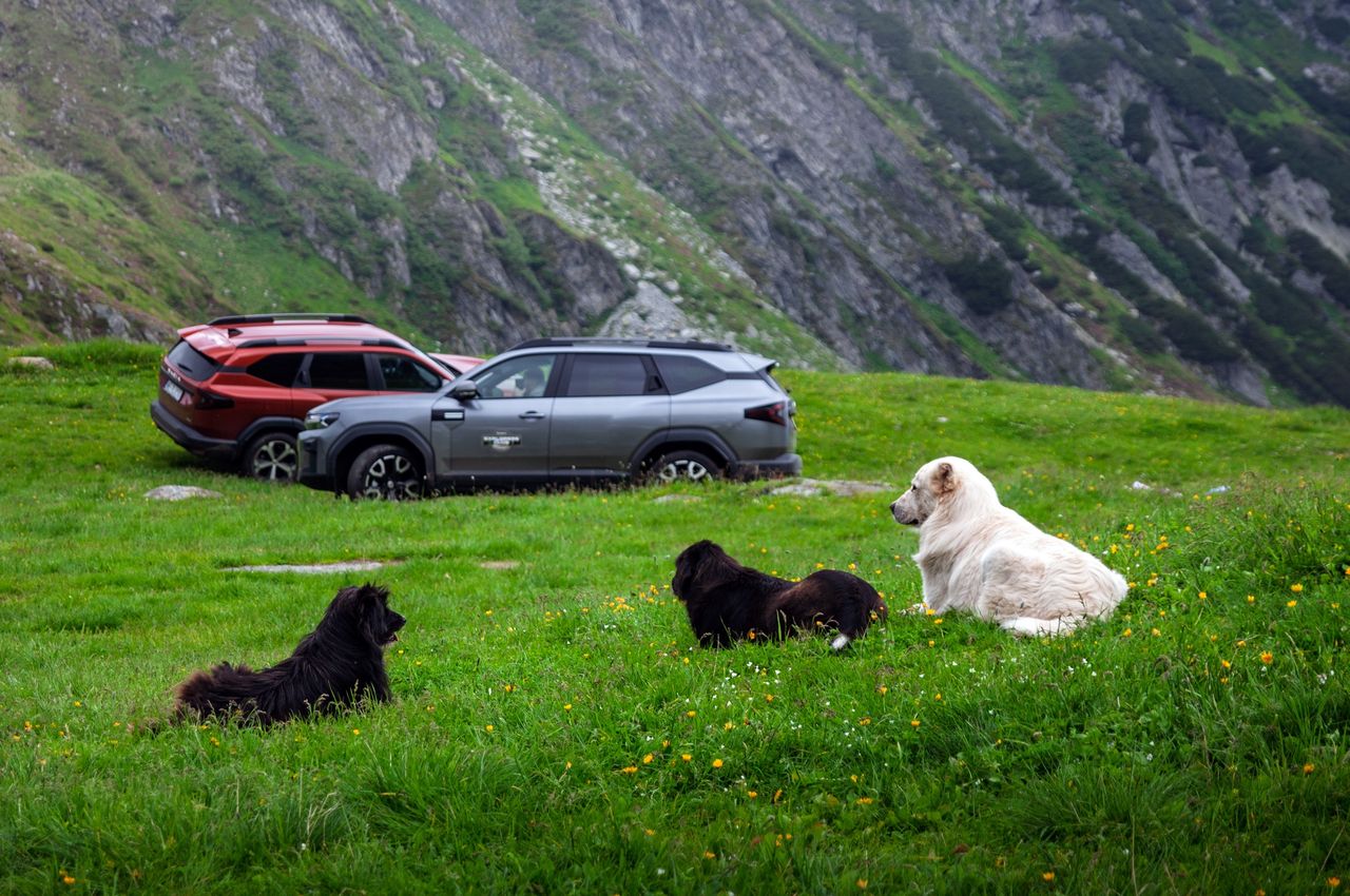 Dacia Explorers Club - Bigster i Duster w Rumunii