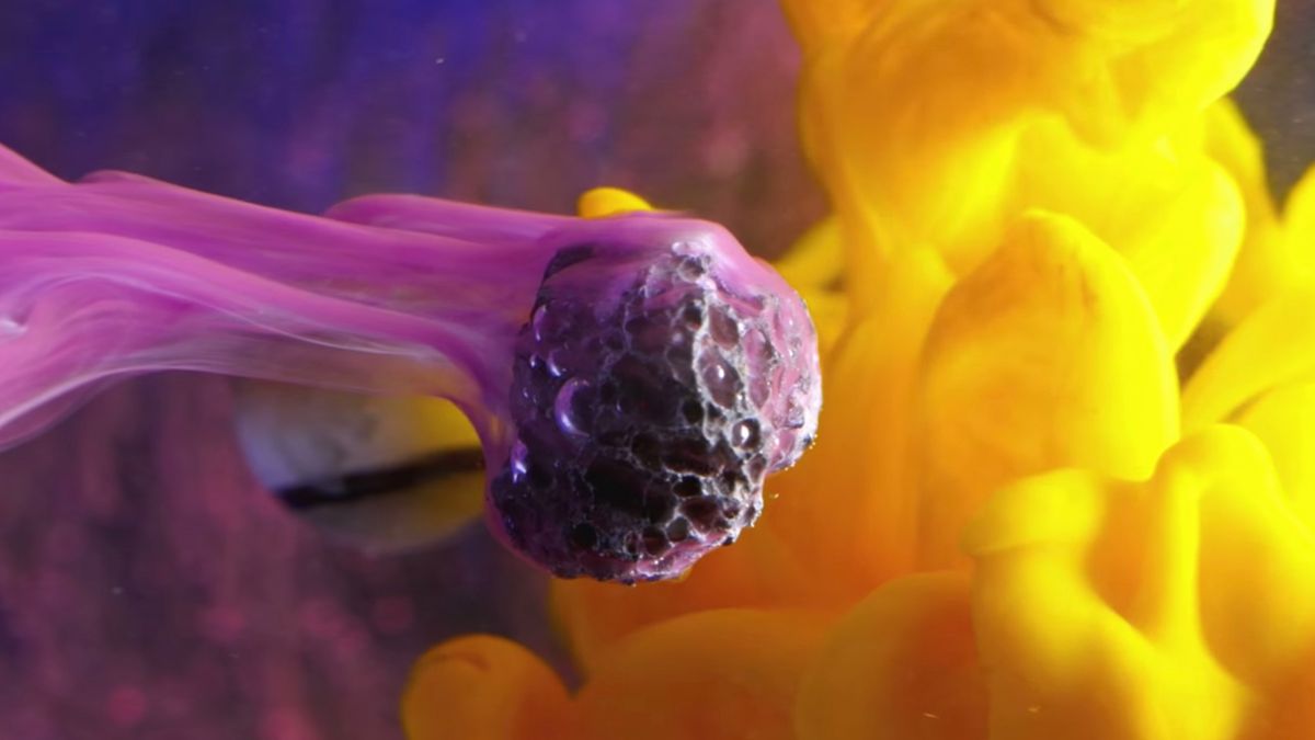 Wszechświat zamknięty w akwarium. Możesz to zrobić w domu! 1