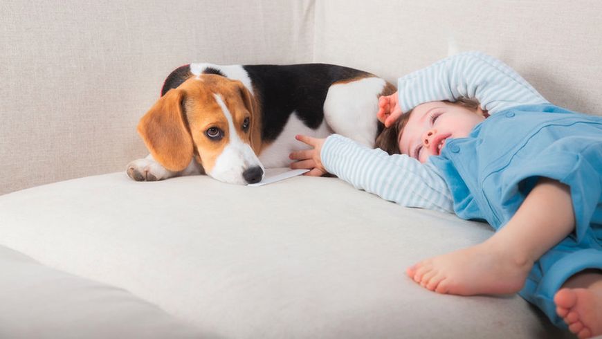 Dzieci, które mają psy, są spokojniejsze