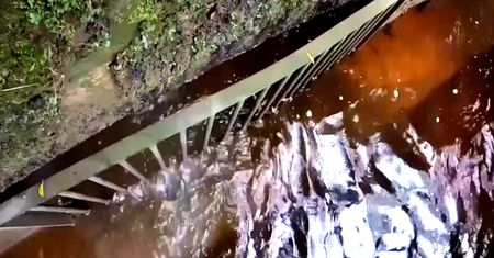Porażająca skala na Wyspach. Ponad 800 przypadków zanieczyszczeń rzek dziennie