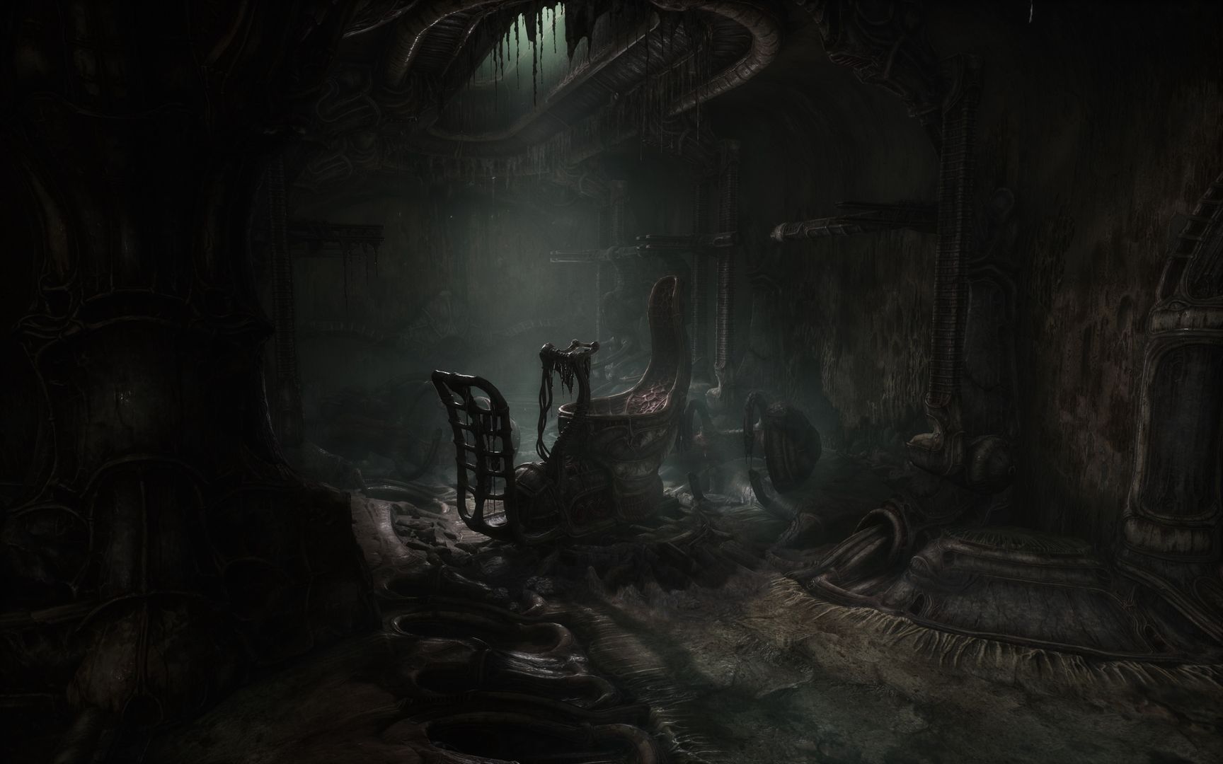 Scorn