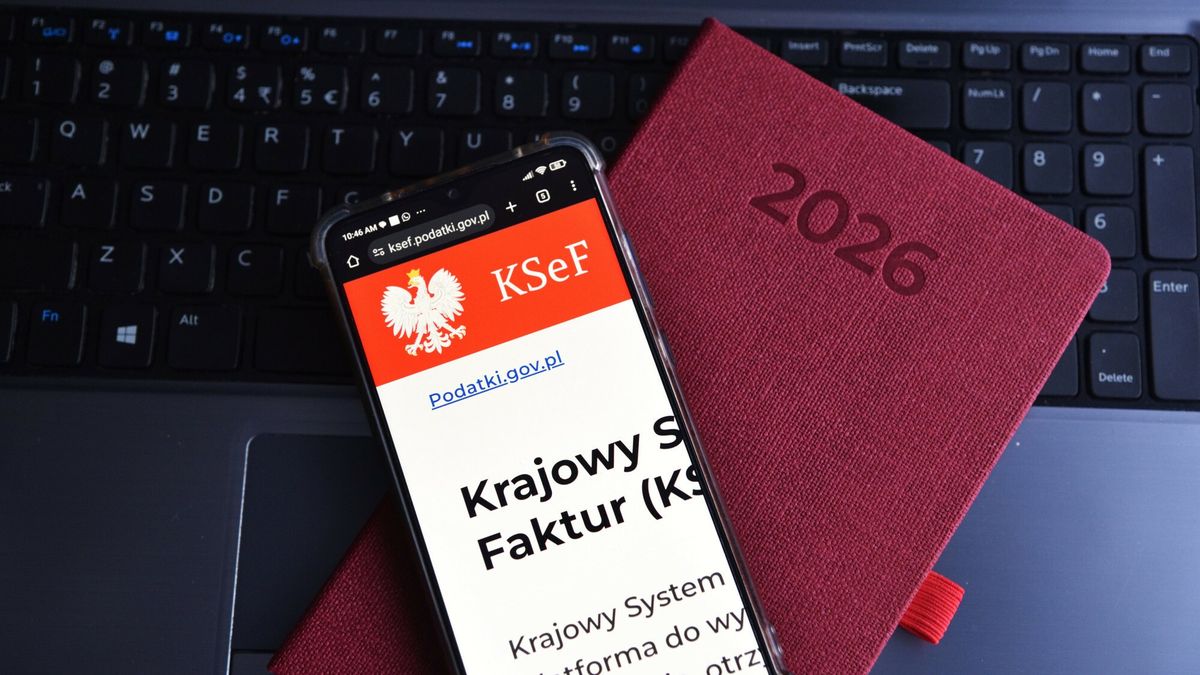 Nie tylko urzędy skarbowe. Kto dostanie dane z KSeF?