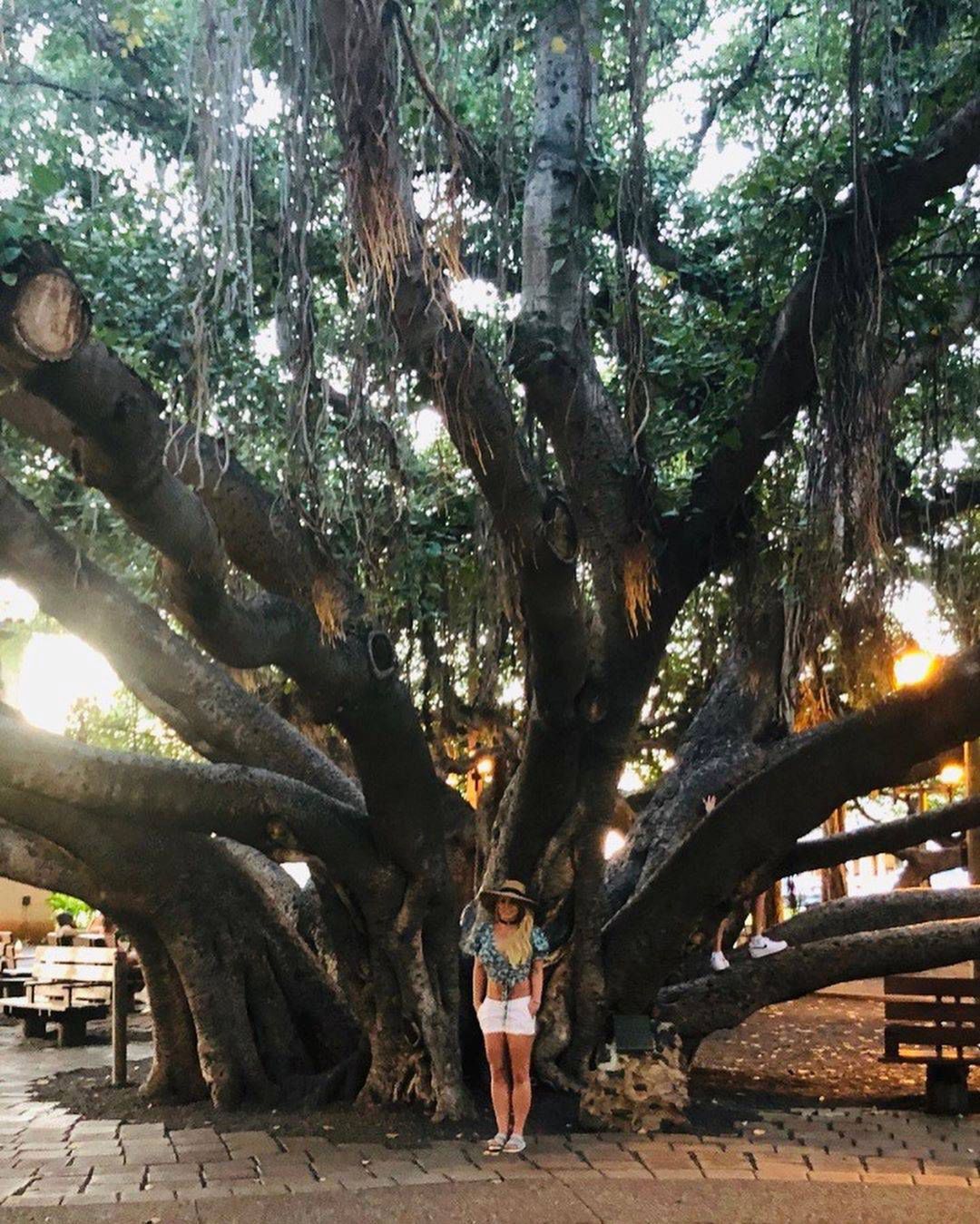 Britney Spears pozuje pod drzewem, Instagram