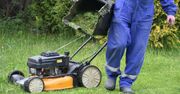 Chcesz mieć piękny trawnik wiosną? Już teraz uważaj na pięć częstych błędów