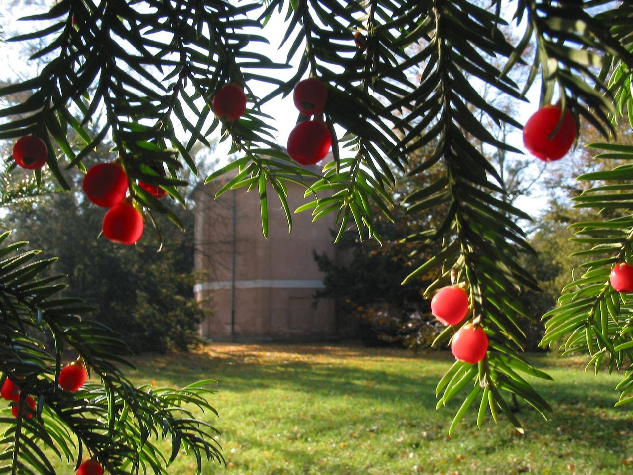 Przeżywają oblężenie. Mają apel do turystów. Lepiej poza weekendami