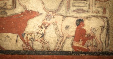 Niezwykłe odkrycie w Egipcie. Archeolodzy odsłonili trzy grobowce z okresu Nowego Państwa
