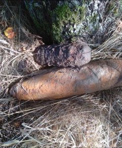 Niebezpieczne znaleziska na Mazowszu. Znajdują je w stawach, lesie i własnym ogródku