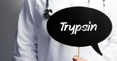 Trypsyna – budowa, wytwarzanie, rola w organizmie