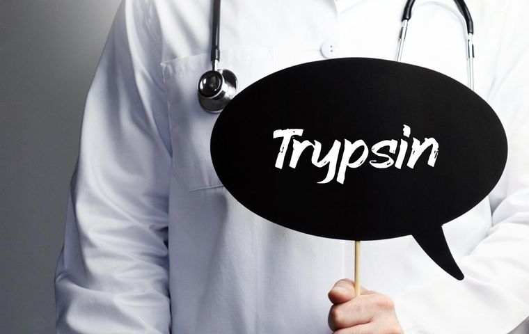 Trypsyna należy do związków, które nazywane są enzymami, a w przypadku trypsyny, enzymami trawiennymi.