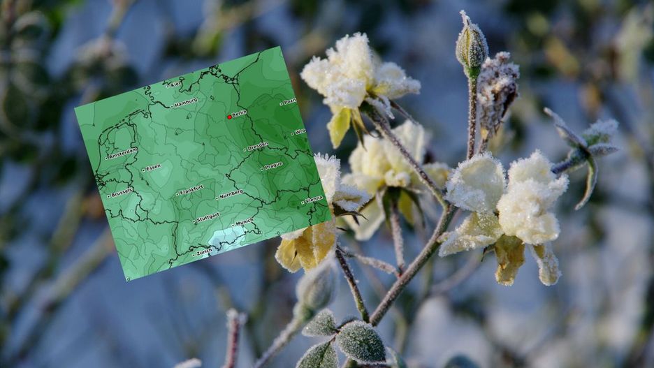 Prognozy na początek marca pokazują niższe temperatury niż w lutym