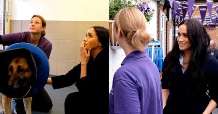 Meghan Markle przypomina swoją wizytę w centrum pomocy dla zwierząt (FOTO)