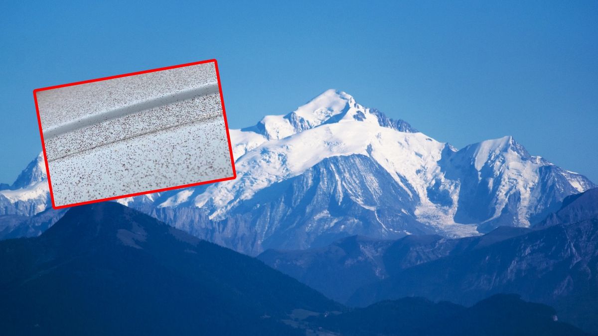 To nie był zwykły śnieg.