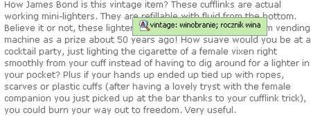 Szybkie tłumaczenie z Google Toolbar 3