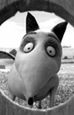 ''Frankenweenie'': It's Alive! Narodziny nowej gwiazdy [wideo]