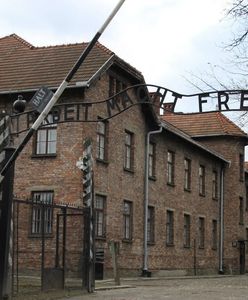 Problemy z niemiecką młodzieżą. "Brak szacunku do historii"