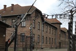 Problemy z niemiecką młodzieżą. "Brak szacunku do historii"