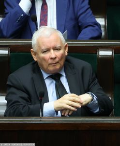 Kaczyński zaskoczył Niemców. "Oferta zbyt dobrą, by ją odrzucić"