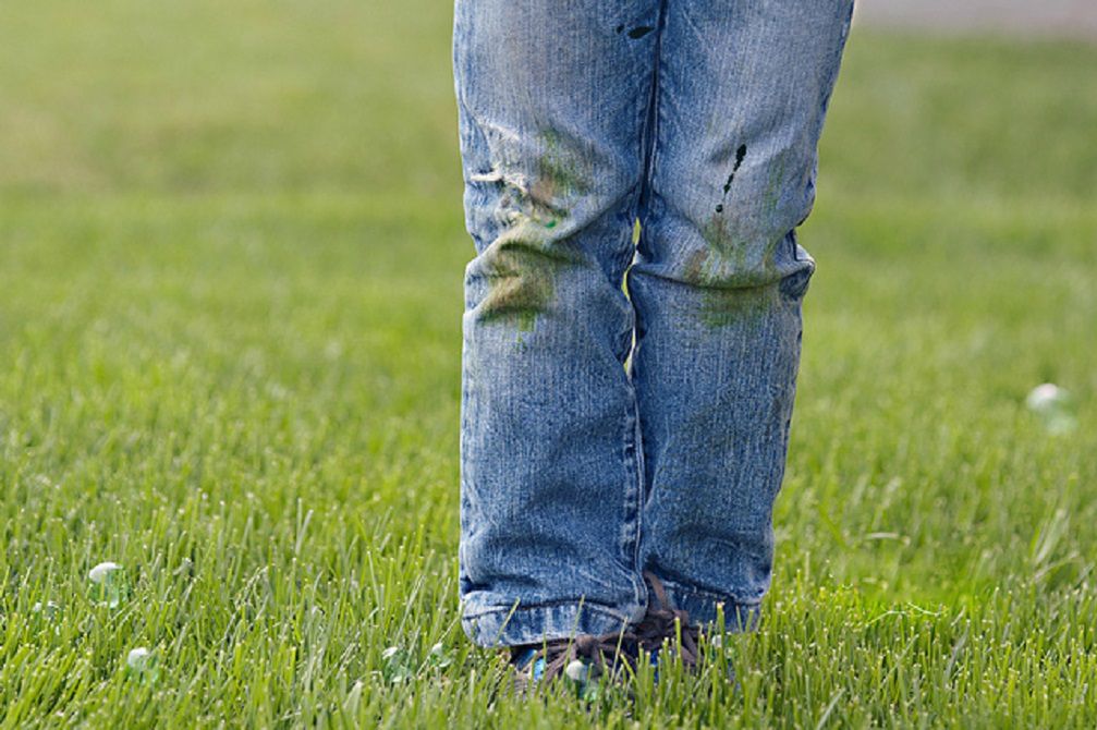 Jak usunąć plamy z trawy? Jest na to bardzo skuteczny sposób