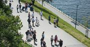 Kraków: Nielegalni imigranci w mieście? Wiceprezydent miasta odpowiada