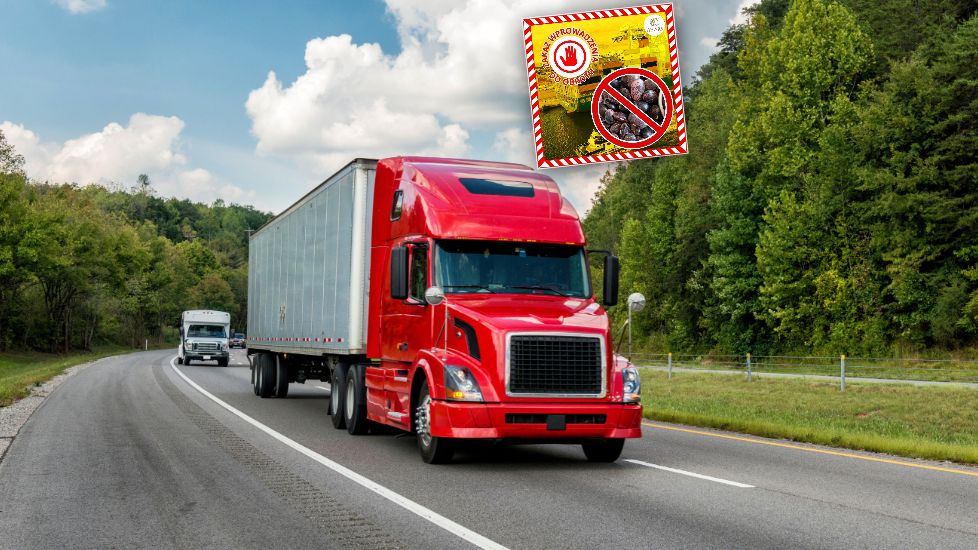 Fasola z Chin zatrzymana. Kolejne niepokojące odkrycie