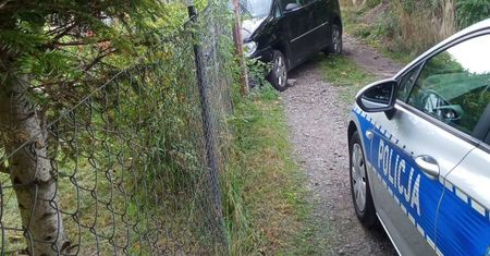 Pijany porzucił rozbite auto. Wrócił na miejsce udając pasażera