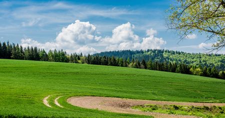 Wrocław. Więcej pieniędzy na ochronę gruntów. Rozdano ponad 22 mln zł