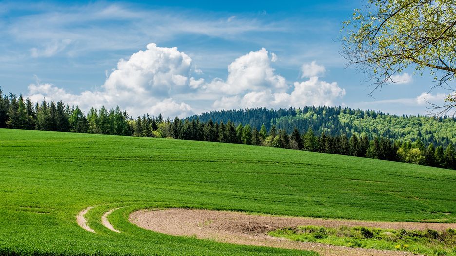 pole rolne rola zieleń wiosna pogoda