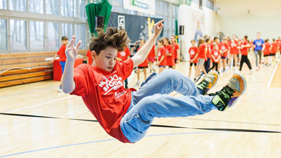 materiały organizatora